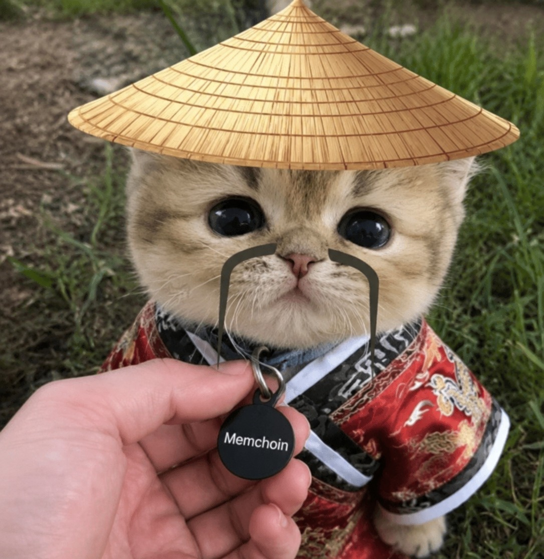 Memchoin tag