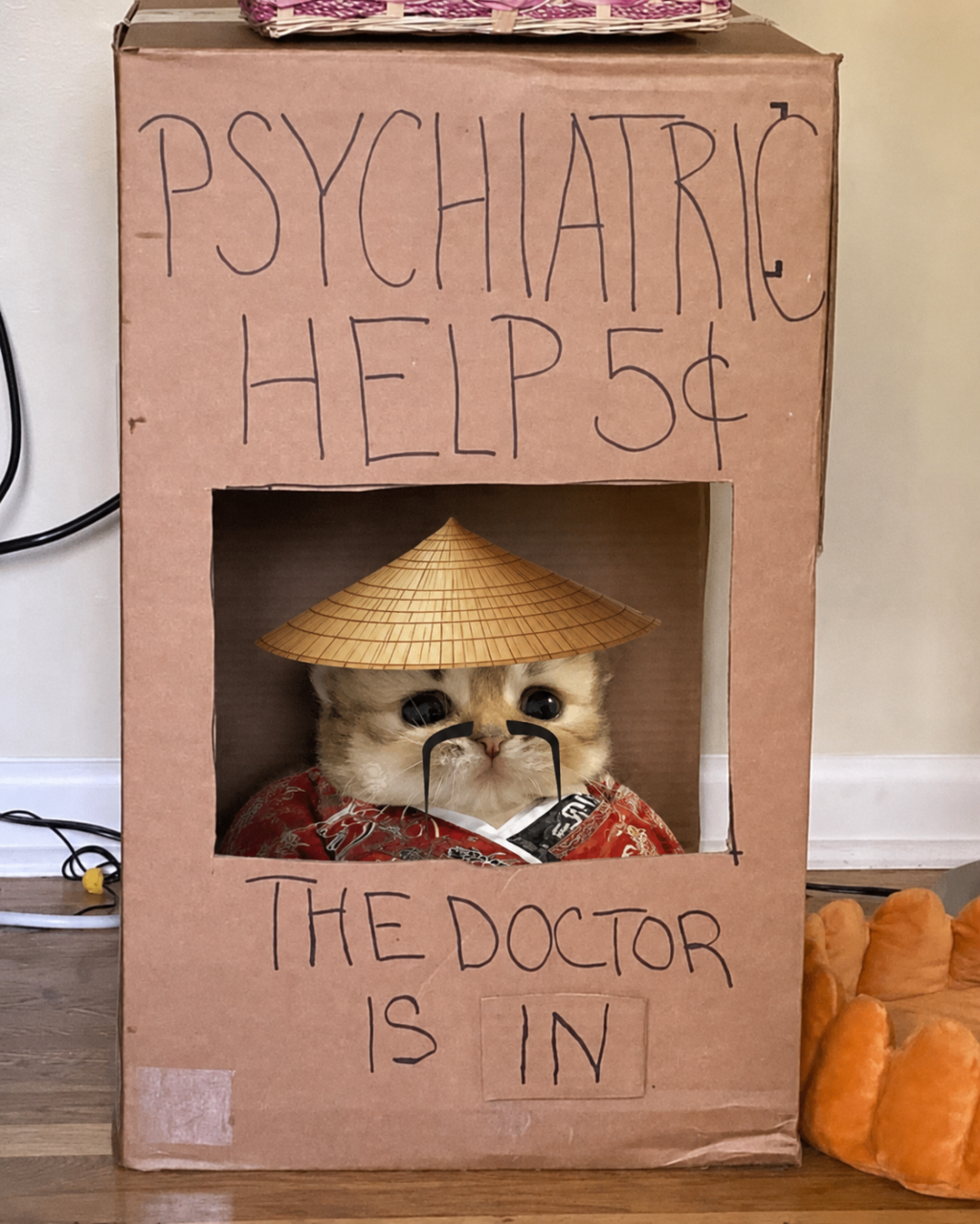 The doctor is in