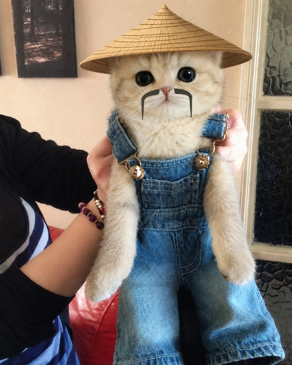 Overalls