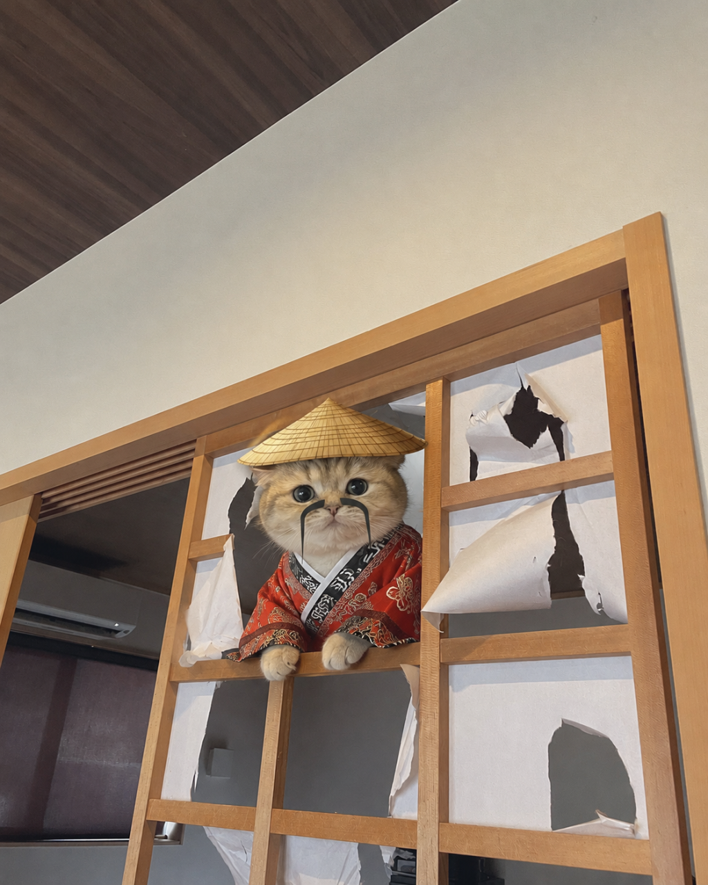 Paper wall